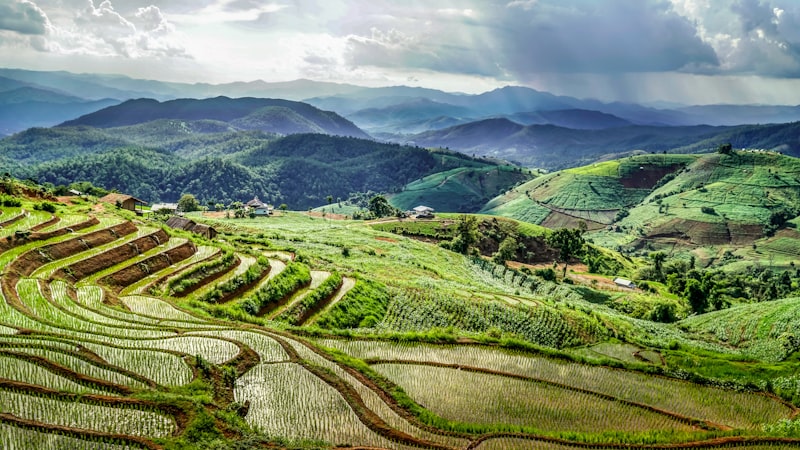 Chiang Mai green fields and mountain scenery